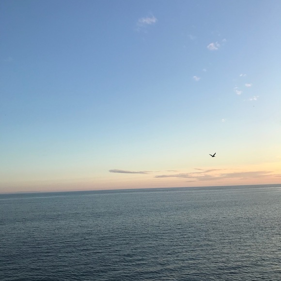 Meet your Posher, Meghan - Picture 1 of 1